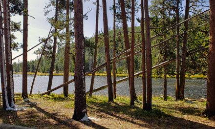 20200908 – Yellowstone National Park. September 8 – 9.  First two days