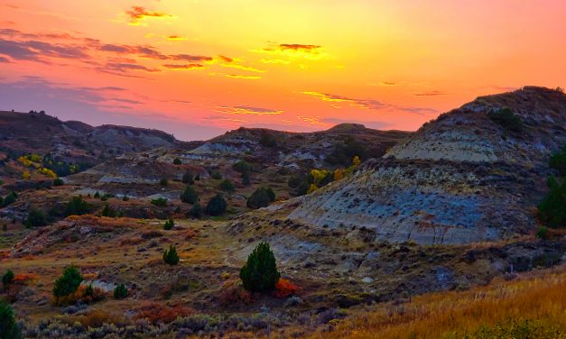 20200920 – Bozeman to Fargo North Dakota/20-22 EYLül Bozeman’dan kuzey Dakota eyaletinde Fargo’ya. Sept 20-22 2020