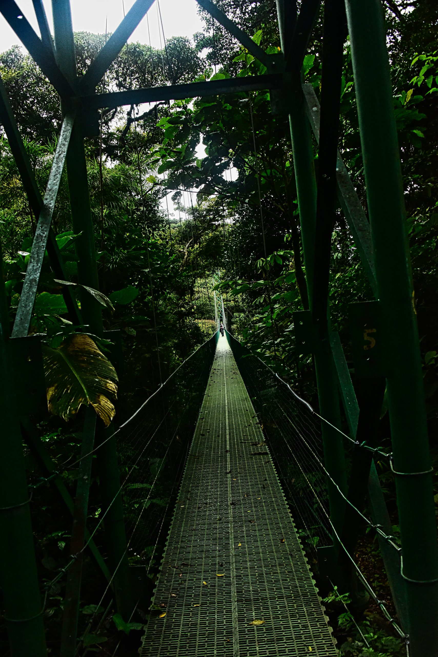 YAZ_8237_AY_01 Costa Rica Monte Verde 20170927