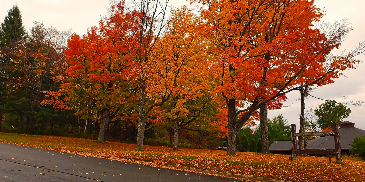 20201025 – Impressionist’s view of Adirondacks with JS Bach – October 2020