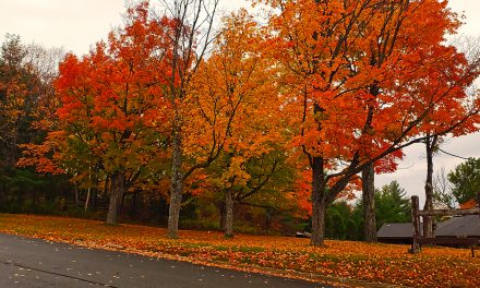 20201025 – Impressionist’s view of Adirondacks with JS Bach – October 2020