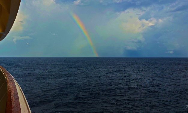 20231201 From  Los Angeles to Buenos Aires on Sapphire Princess Cruise