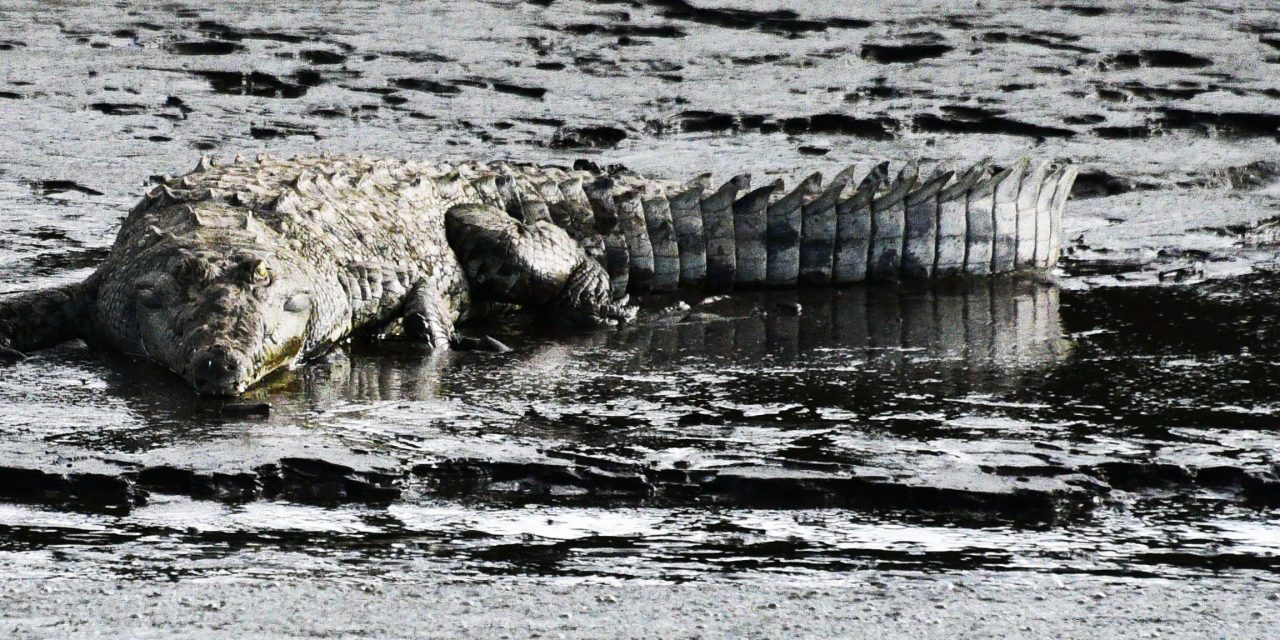 20231207 – Puntarenas, Costa Rica