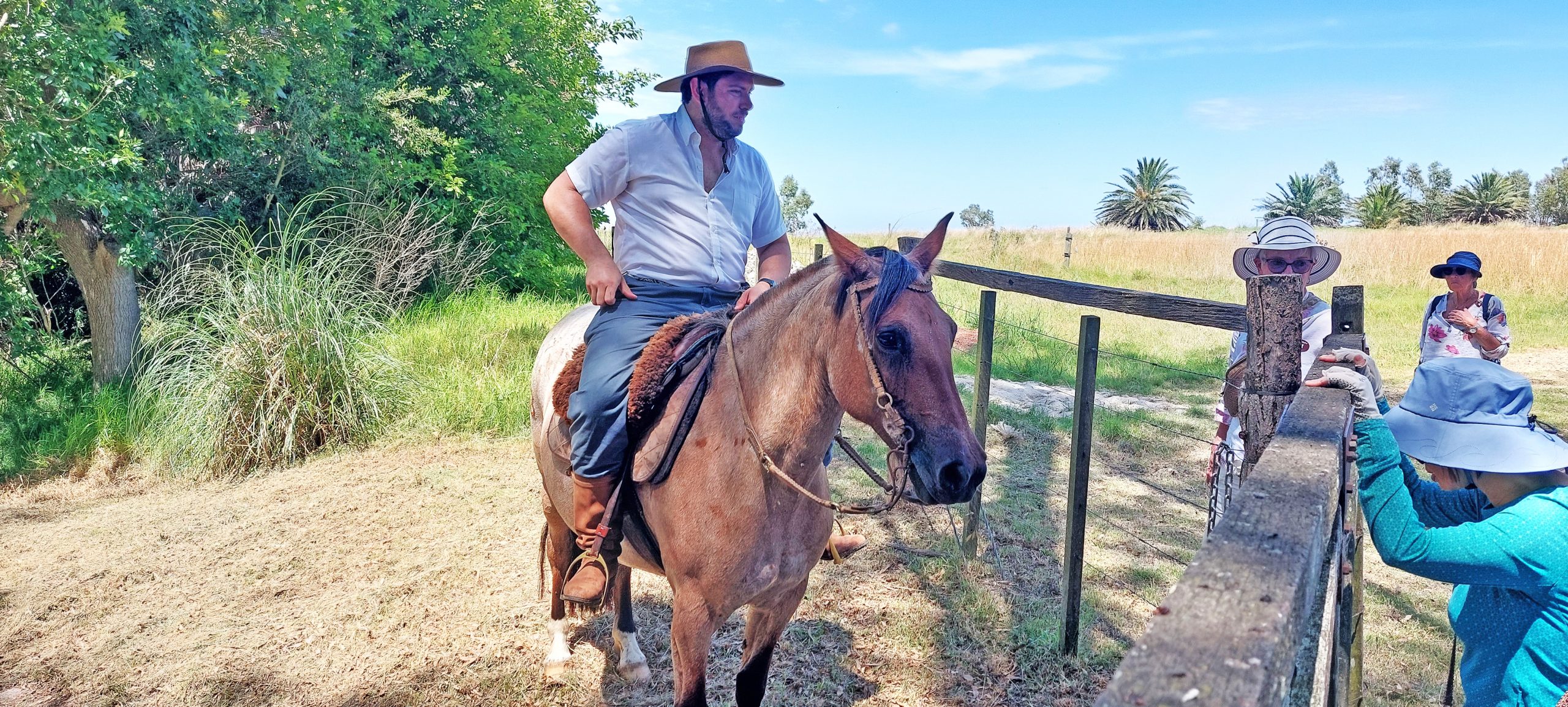 Talking to the Gaucho and his  horse, Montevideo