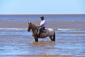 Gaucho in the water, Montevideo